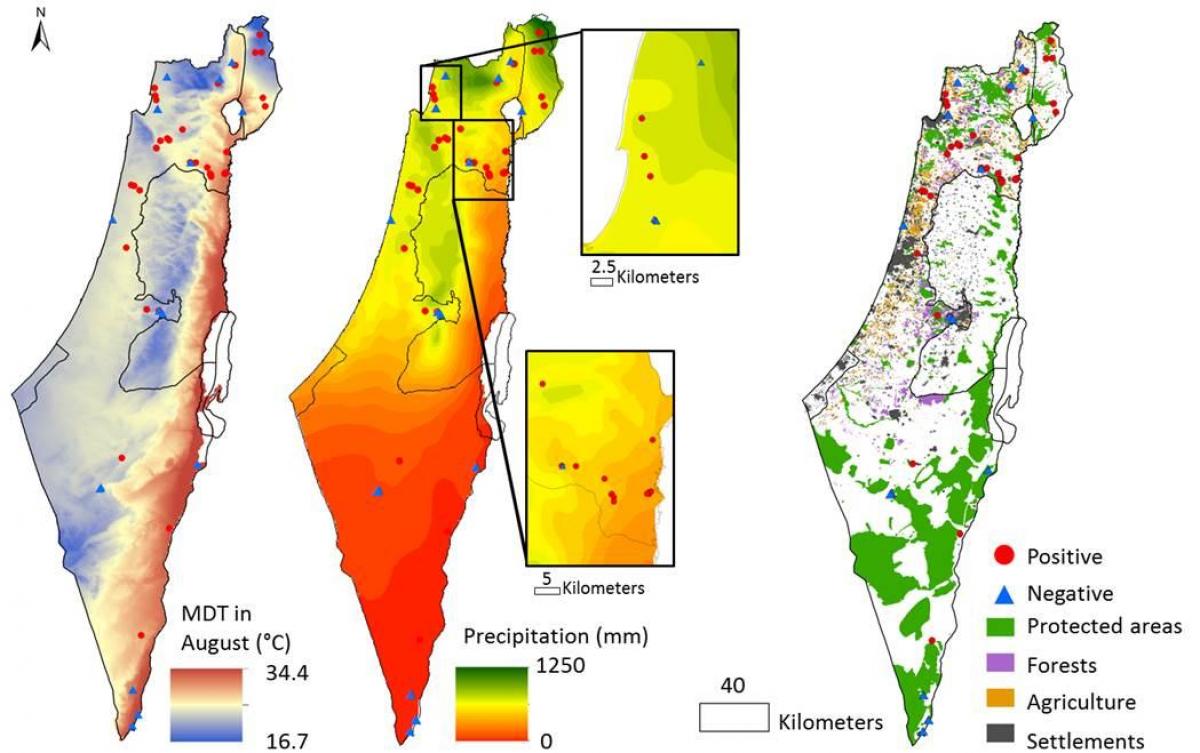 peta israel iklim